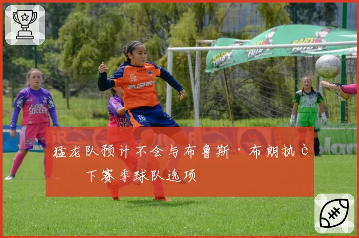 猛龙队预计不会与布鲁斯·布朗执行下赛季球队选项