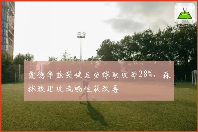 爱德华兹突破后分球助攻率28%，森林狼进攻流畅性获改善