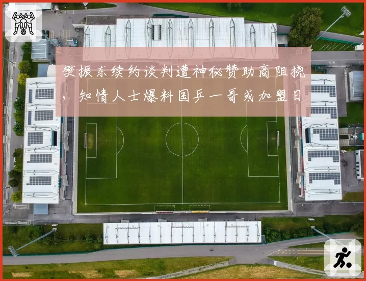 樊振东续约谈判遭神秘赞助商阻挠，知情人士爆料国乒一哥或加盟日本俱乐部？